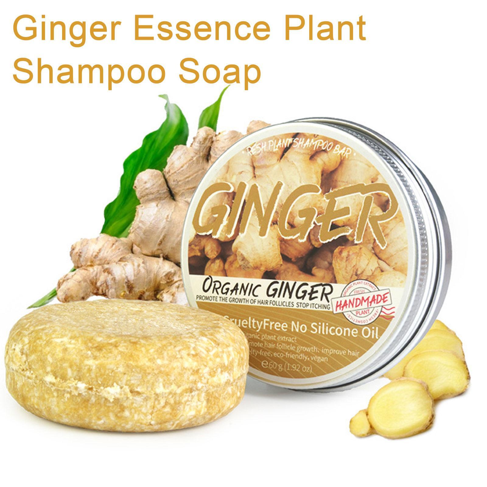 Hair Care Organic - Jabón de Polygonum de jengibre, champú